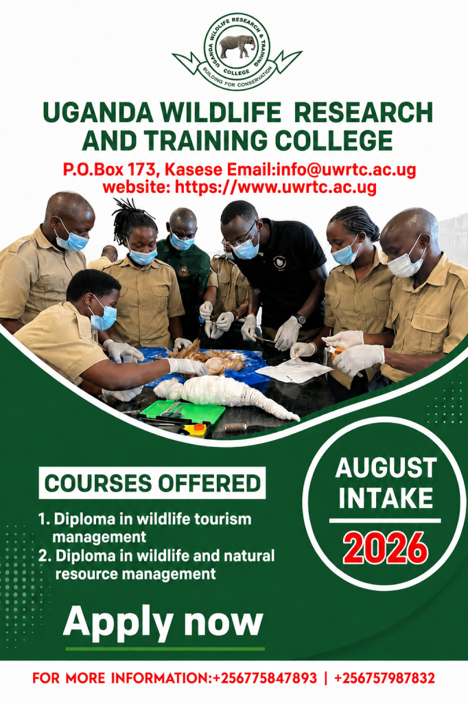 advert for august intake